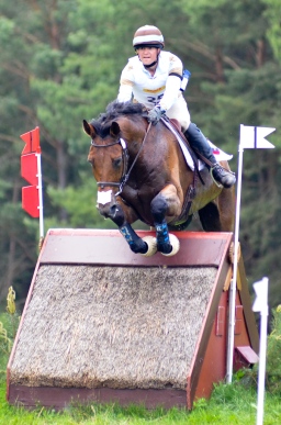 luhmuehlen-2013_cci4-119-jpg
