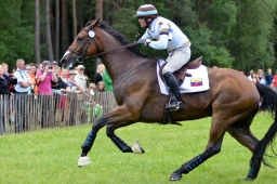 luhmuehlen-2013_cci4-122-jpg