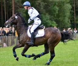 luhmuehlen-2013_cci4-149-jpg