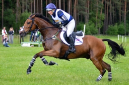 luhmuehlen-2013_cci4-155-jpg