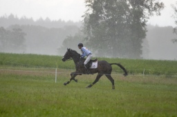 luhmuehlen-2013_cci4-157-jpg