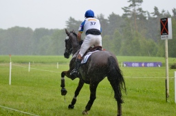 luhmuehlen-2013_cci4-165-jpg