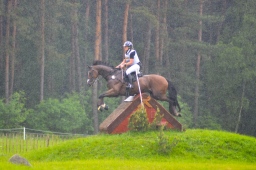 luhmuehlen-2013_cci4-166-jpg