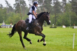 luhmuehlen-2013_cci4-167-jpg