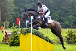 luhmuehlen-2013_cci4-177-jpg