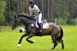 luhmuehlen-2013_cci4-178-jpg