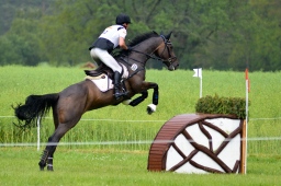 luhmuehlen-2013_cci4-181-jpg