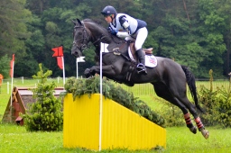 luhmuehlen-2013_cci4-191-jpg