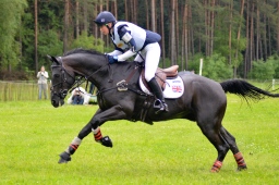 luhmuehlen-2013_cci4-192-jpg