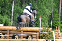 luhmuehlen-2013_cci4-194-jpg