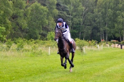 luhmuehlen-2013_cci4-196-jpg