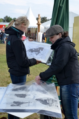 luhmuehlen-2013_cci4-209-jpg