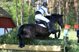 luhmuehlen-2013_cic3-004-jpg