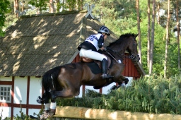 luhmuehlen-2013_cic3-033-jpg