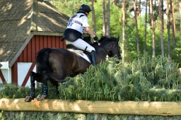 luhmuehlen-2013_cic3-040-jpg