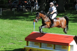 luhmuehlen-2013_cic3-041-jpg