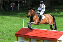 luhmuehlen-2013_cic3-074-jpg