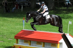 luhmuehlen-2013_cic3-084-jpg
