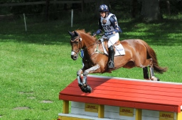 luhmuehlen-2013_cic3-089-jpg
