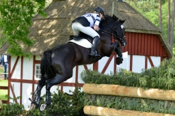 luhmuehlen-2013_cic3-094-jpg