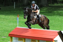 luhmuehlen-2013_cic3-099-jpg
