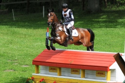 luhmuehlen-2013_cic3-113-jpg