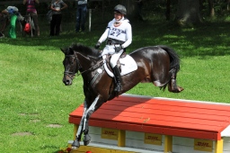luhmuehlen-2013_cic3-131-jpg
