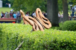 luhmuehlen-2013_cic3-151-jpg