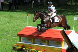 luhmuehlen-2013_cic3-172-jpg