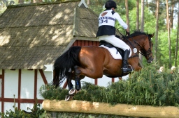 luhmuehlen-2013_cic3-178-jpg