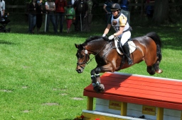 luhmuehlen-2013_cic3-179-jpg