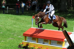 luhmuehlen-2013_cic3-211-jpg