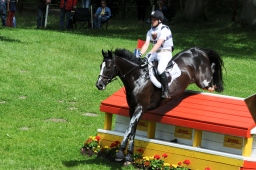 luhmuehlen-2013_cic3-223-jpg