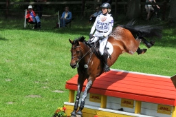 luhmuehlen-2013_cic3-226-jpg