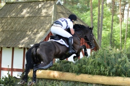luhmuehlen-2013_cic3-234-jpg