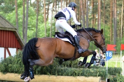 luhmuehlen-2013_cic3-238-jpg
