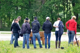 luhmuehlen-2013_freitag-022-jpg
