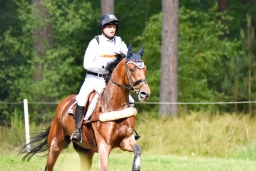 luhmuehlen-2015_cci4005-jpg