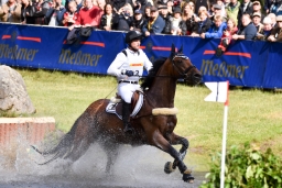luhmuehlen-2015_cci4008-jpg