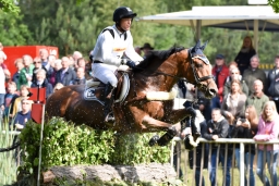 luhmuehlen-2015_cci4009-jpg