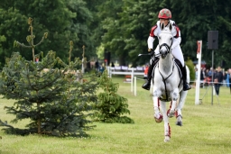 luhmuehlen-2015_cci4017-jpg