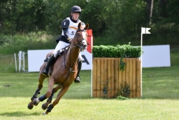 luhmuehlen-2015_cci4022-jpg