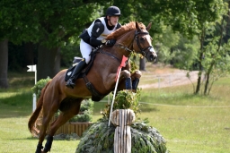 luhmuehlen-2015_cci4023-jpg