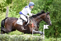 luhmuehlen-2015_cci4027-jpg