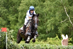 luhmuehlen-2015_cci4028-jpg