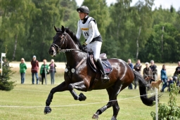 luhmuehlen-2015_cci4031-jpg