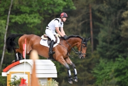 luhmuehlen-2015_cci4034-jpg