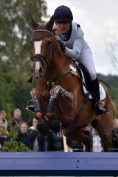 luhmuehlen-2015_cci4039-jpg
