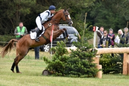 luhmuehlen-2015_cci4041-jpg