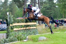 luhmuehlen-2015_cci4044-jpg